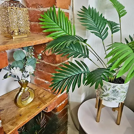 Aurora Gold Edition * Brcko