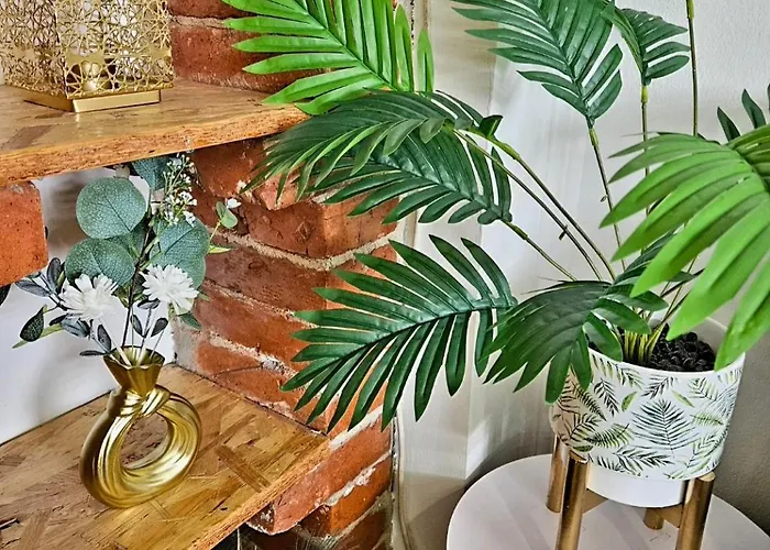 Aurora Gold Edition * Brcko